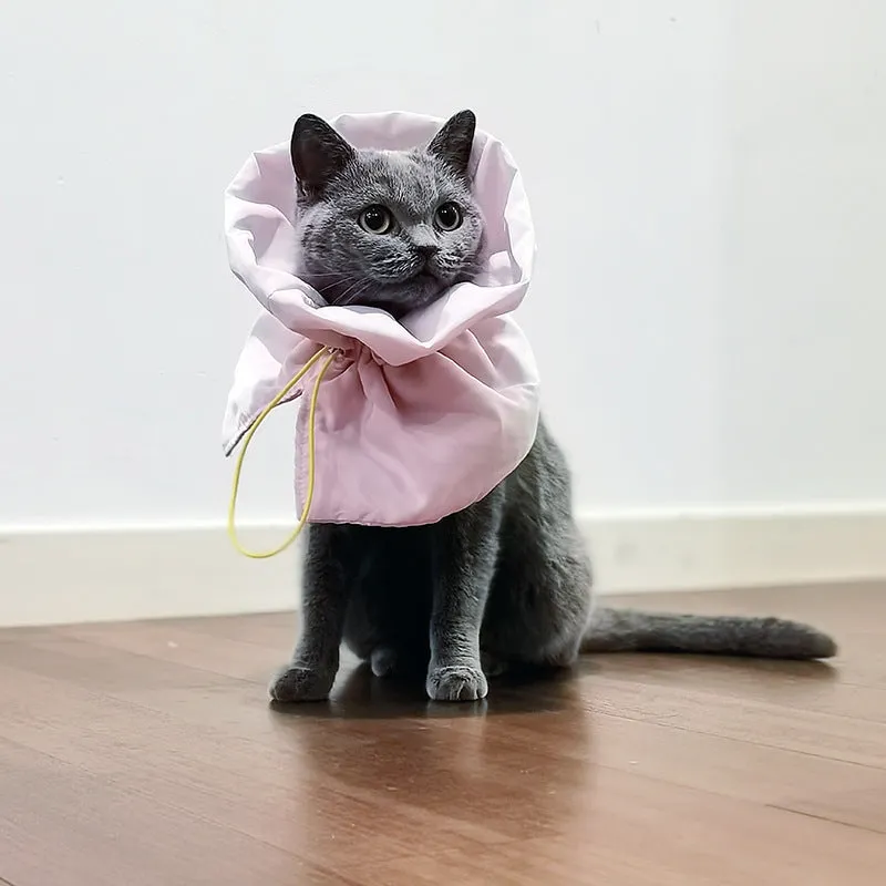 Soft blue adjustable Elizabethan recovery collar for cat on a white background