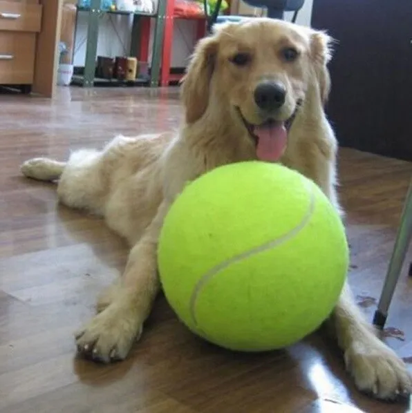 64mm non-toxic rubber and felt dog molar tennis ball toy for chewing and fetching