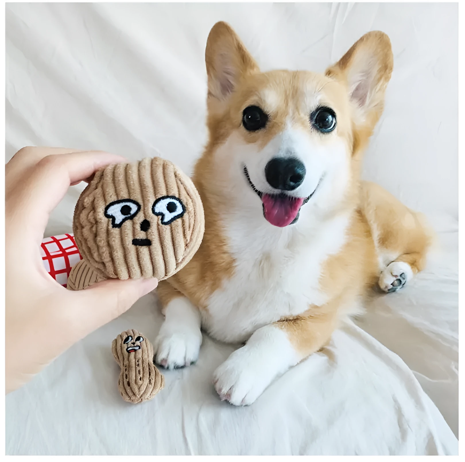 Hidden food toy set for dogs with two walnut toys, one peanut toy, and a rustling paper snack bag on a table