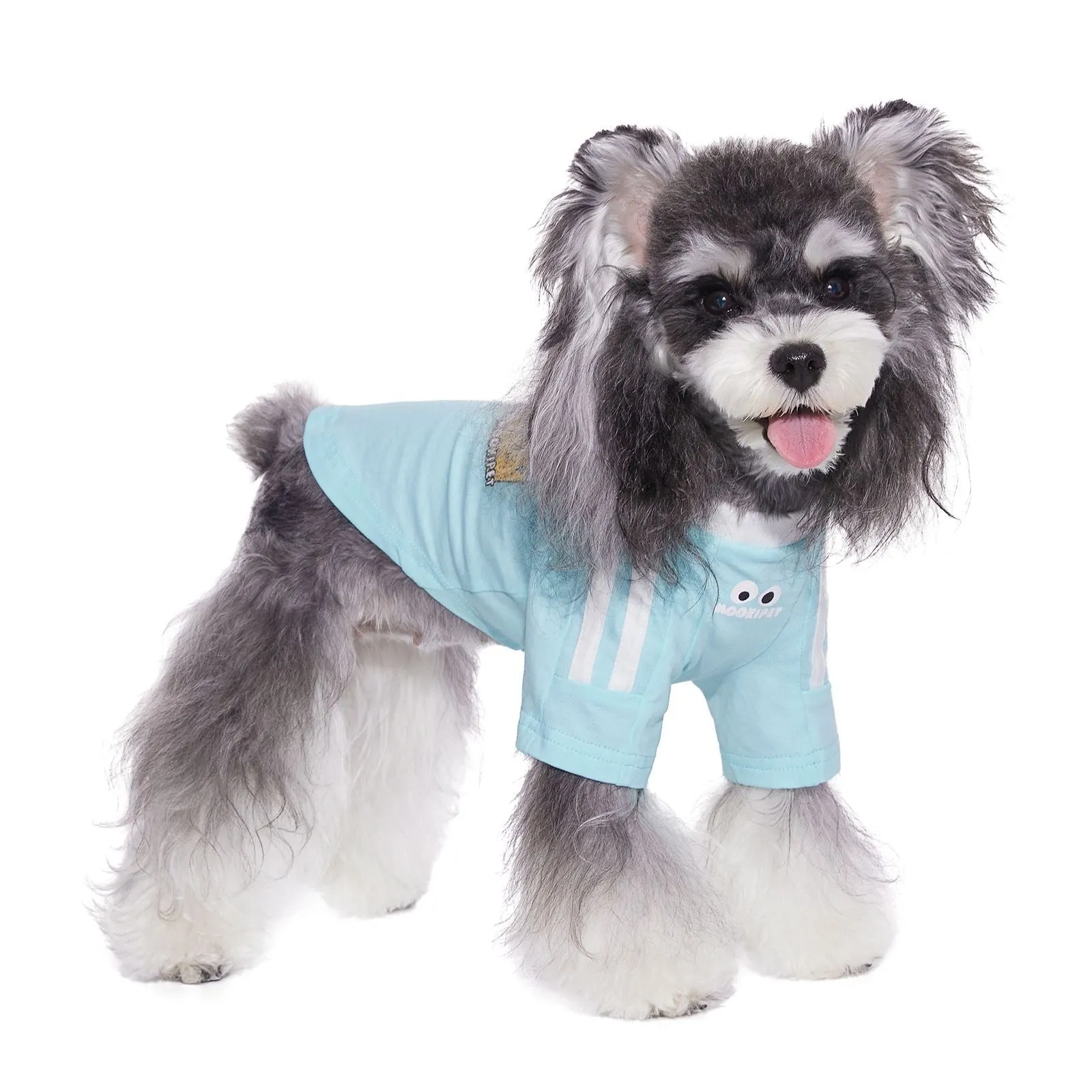 Thin cotton casual pet clothes for small schnauzer dog or cat in pink and blue from size XXS to XXL