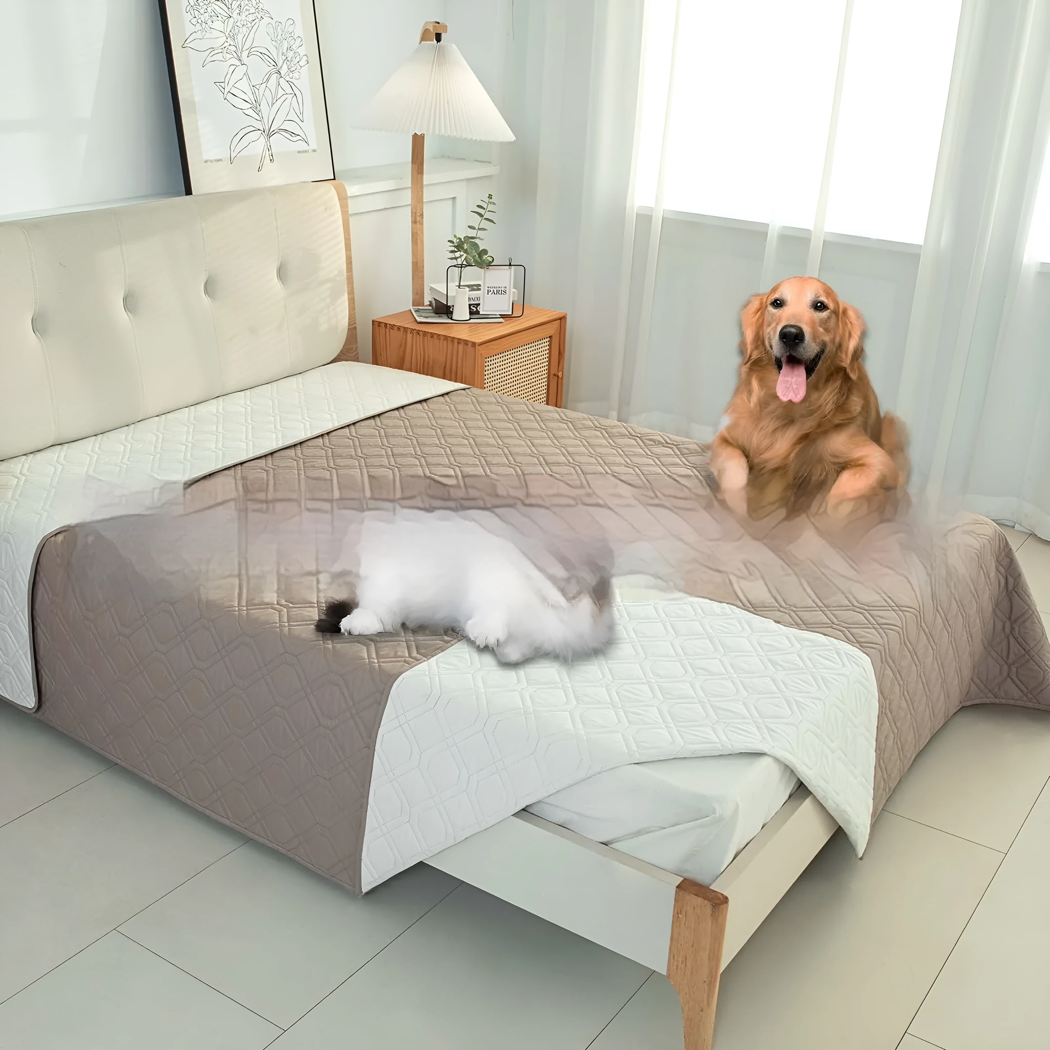 Double-sided waterproof dog sofa cushion showing contrasting colour options and multiple size measurements
