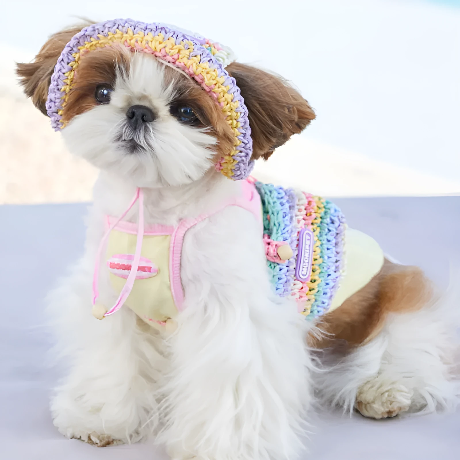 Dog woven sun hat in 100% paper casual style for small breeds summer use