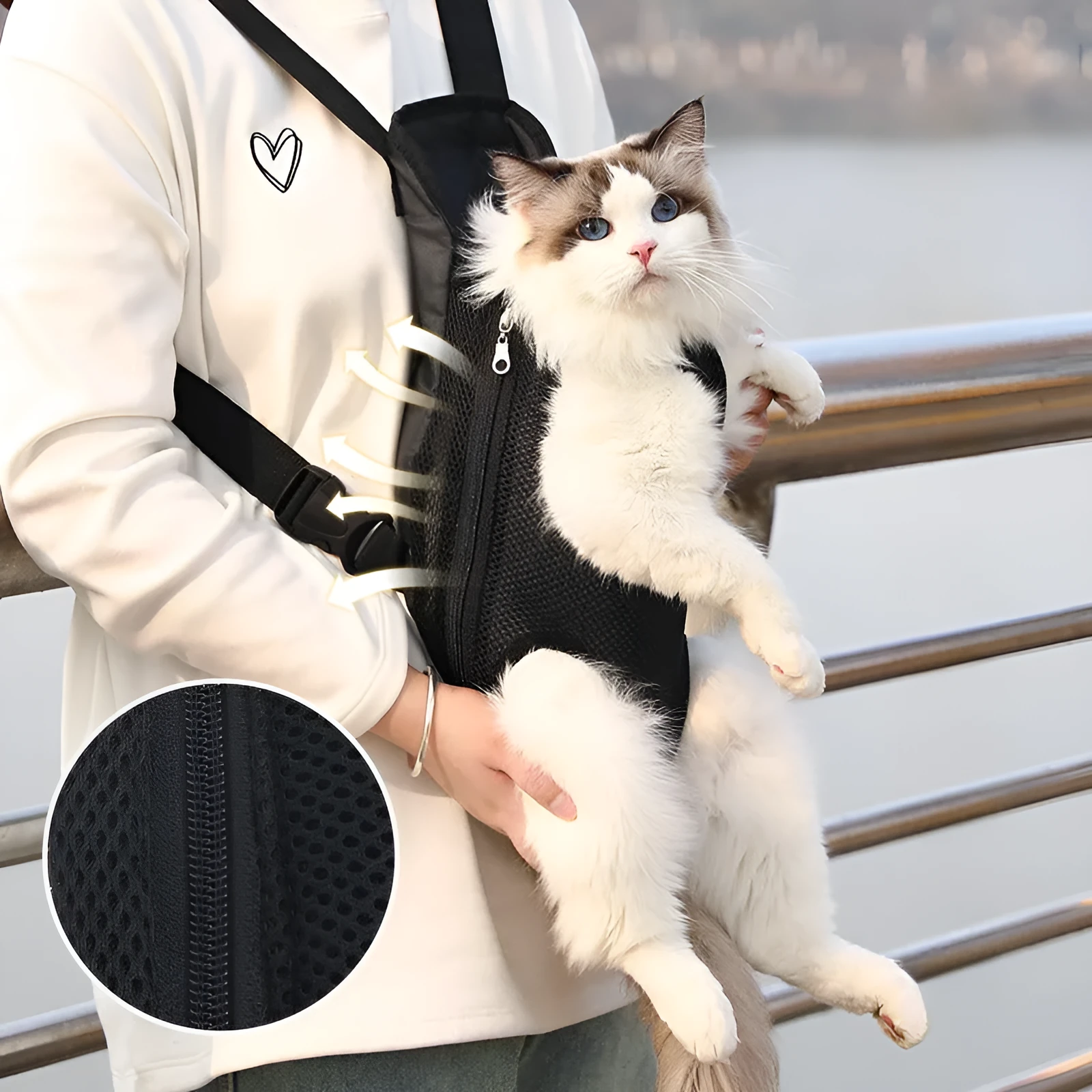 A small dog sitting in a breathable mesh carrier backpack worn on a person's front.