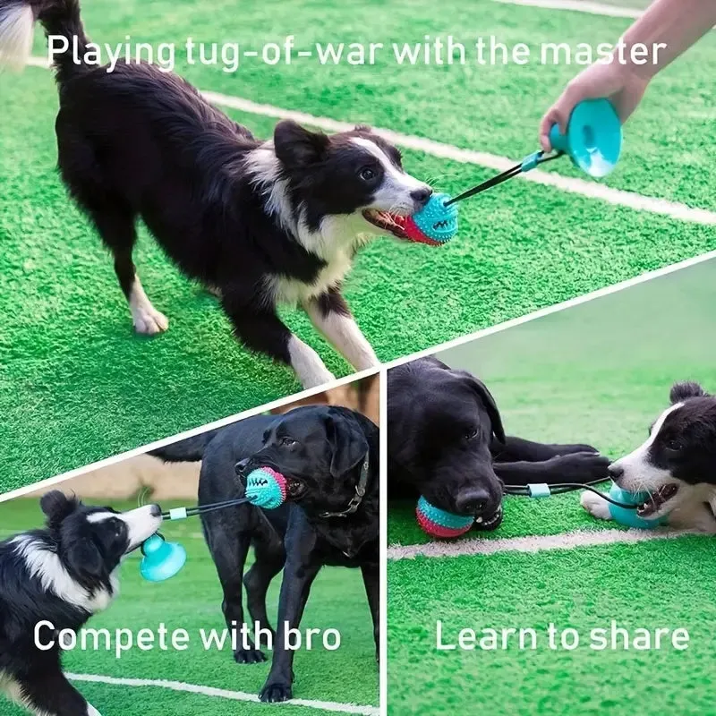 Blue suction cup tug-of-war dog toy with rope and treat-dispensing ball for aggressive chewers