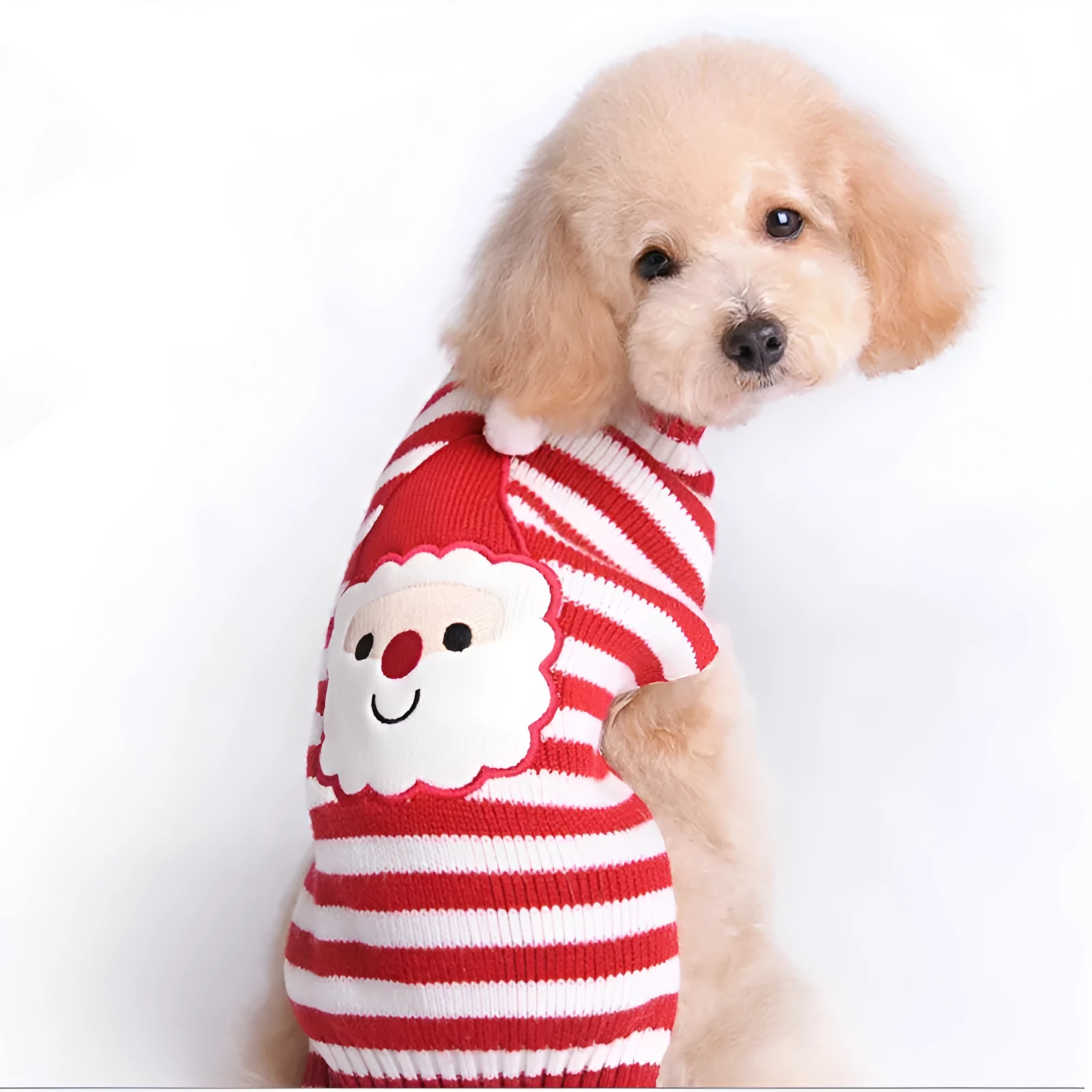 Pet dog Christmas pompom sweater in black on small dog unisex acrylic knit holiday outfit