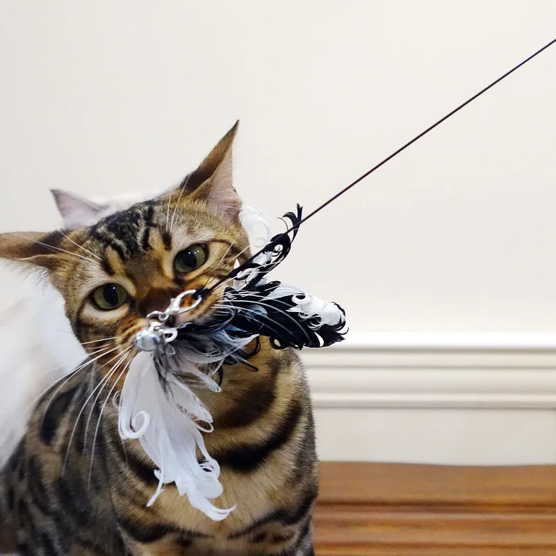 Black cat toy stick with bird feather wire end measuring half a metre in length