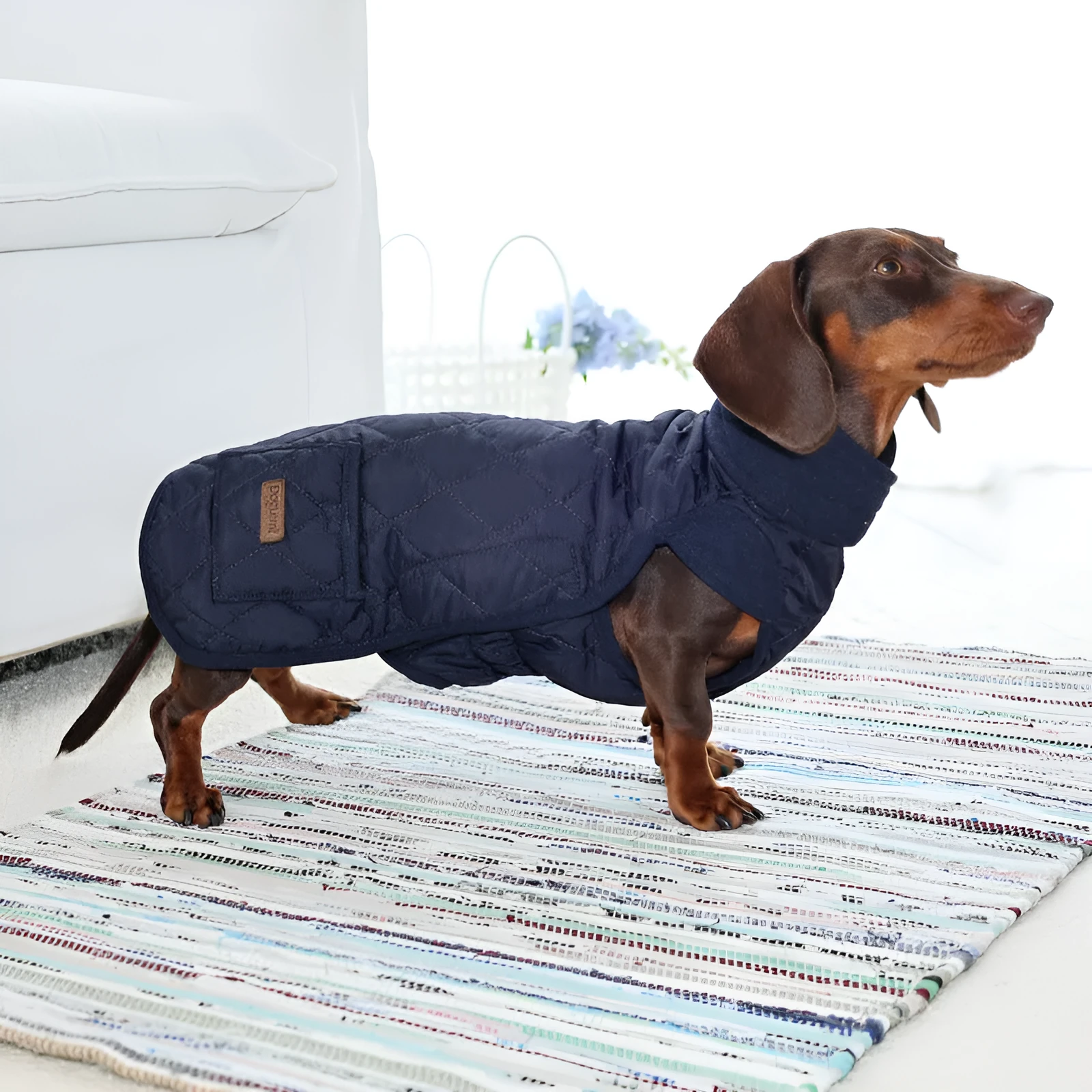 Beige British-style cotton vest for short leg dogs on small pet, autumn winter wear