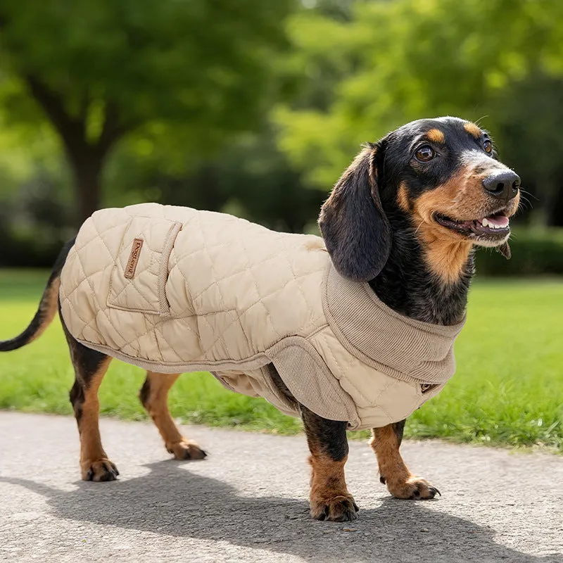 Beige British-style cotton vest for short leg dogs on small pet, autumn winter wear