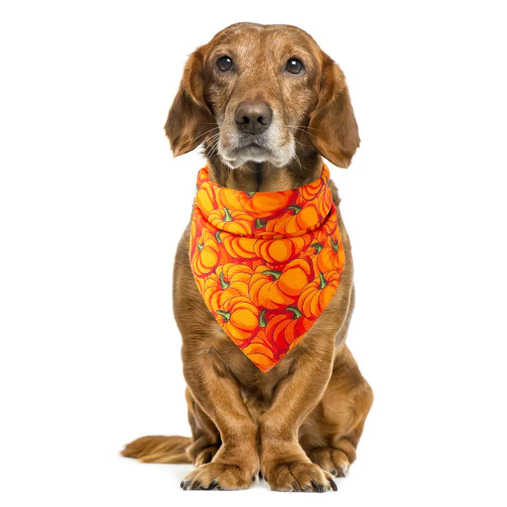 Halloween pet saliva towel with ghost print on cotton fabric, 48x48x70cm, for cats and dogs