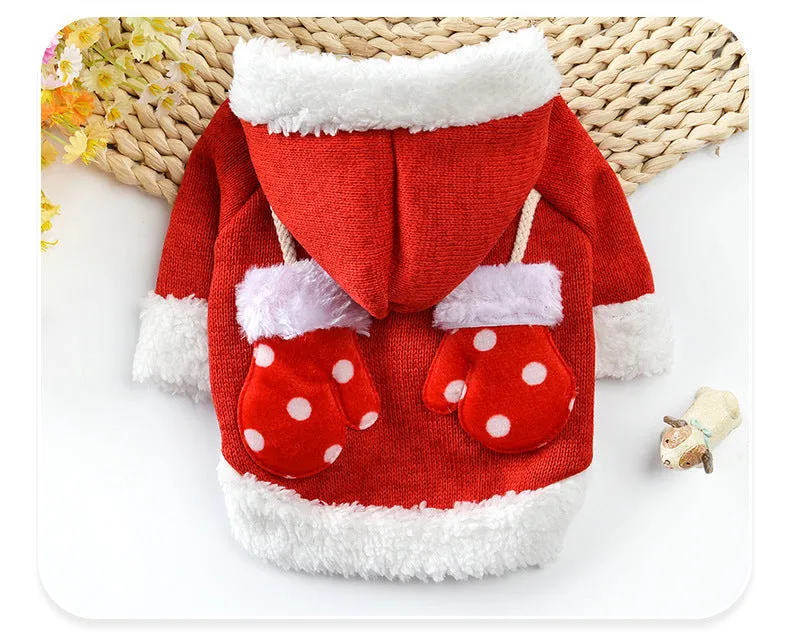 New dog Christmas sweater in red on a small dog, knit fabric with ribbed edges