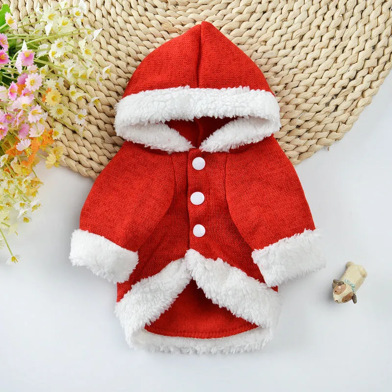 New dog Christmas sweater in red on a small dog, knit fabric with ribbed edges