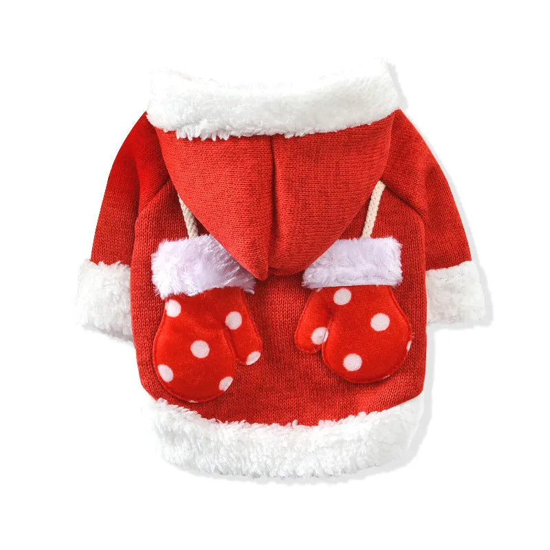 New dog Christmas sweater in red on a small dog, knit fabric with ribbed edges
