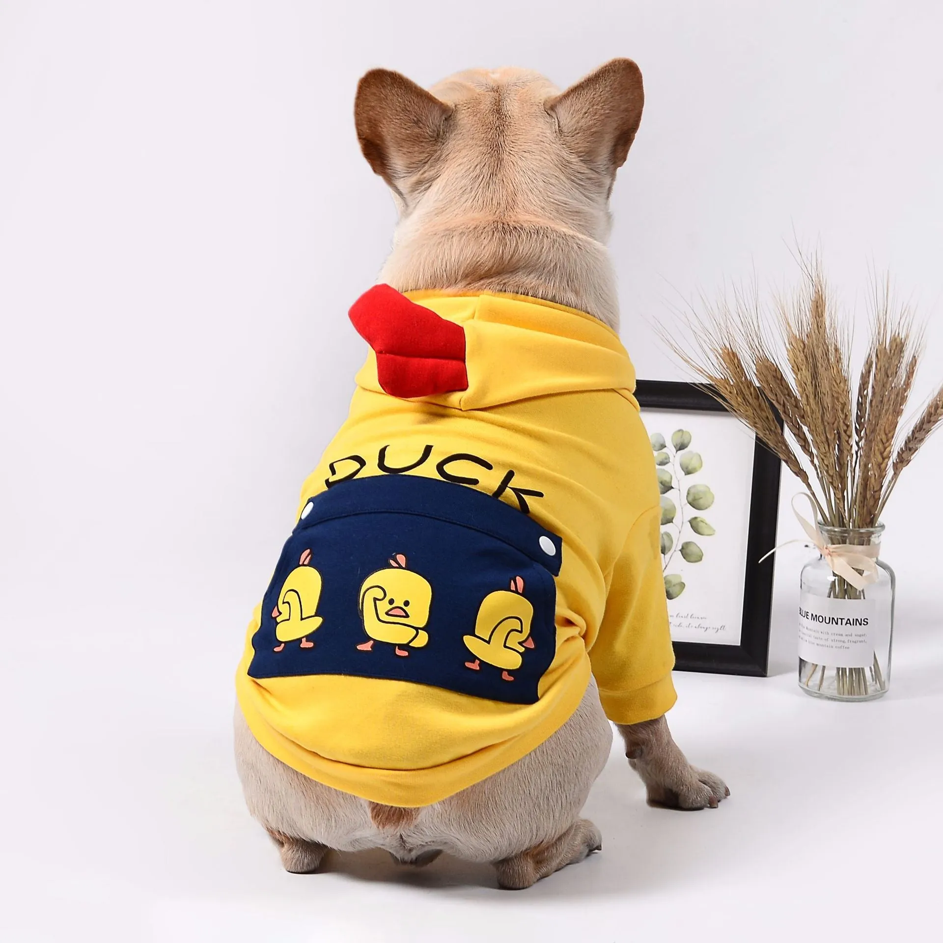 Blue pet dog sweatshirt in cotton wool pull frame, casual unisex style on a small dog