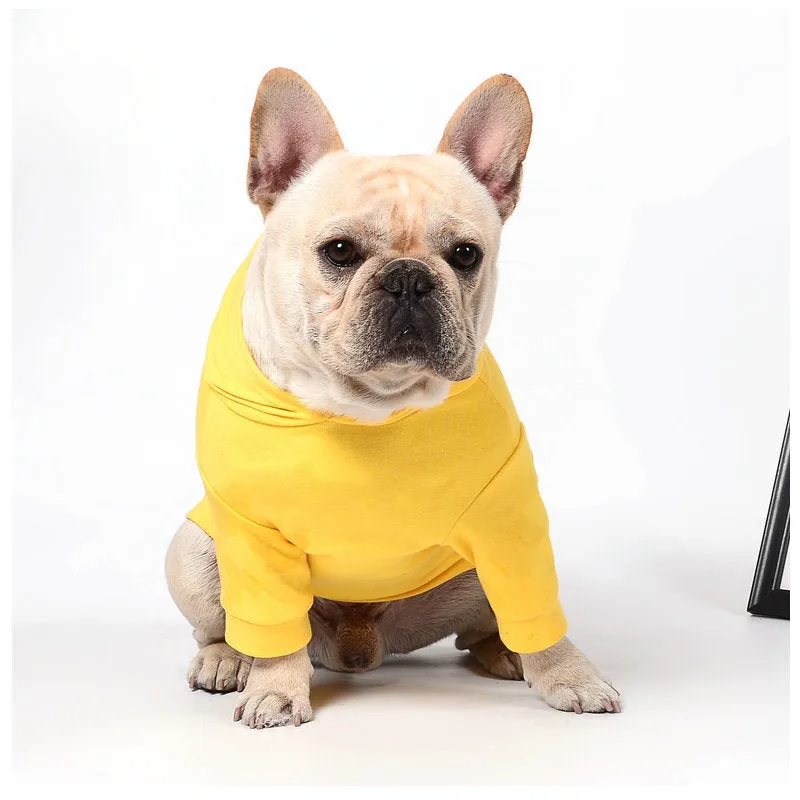 Blue pet dog sweatshirt in cotton wool pull frame, casual unisex style on a small dog