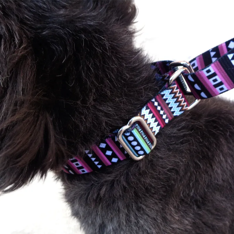 Colour stripe digital printing pet rope collar with purple arrow gradient pattern on polyester material