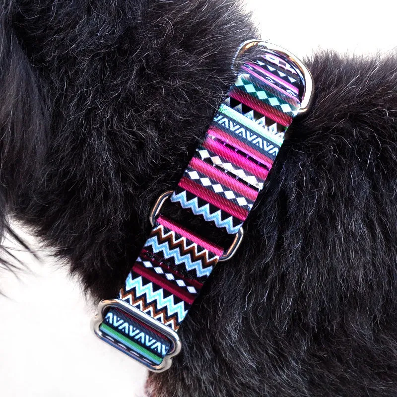 Colour stripe digital printing pet rope collar with purple arrow gradient pattern on polyester material