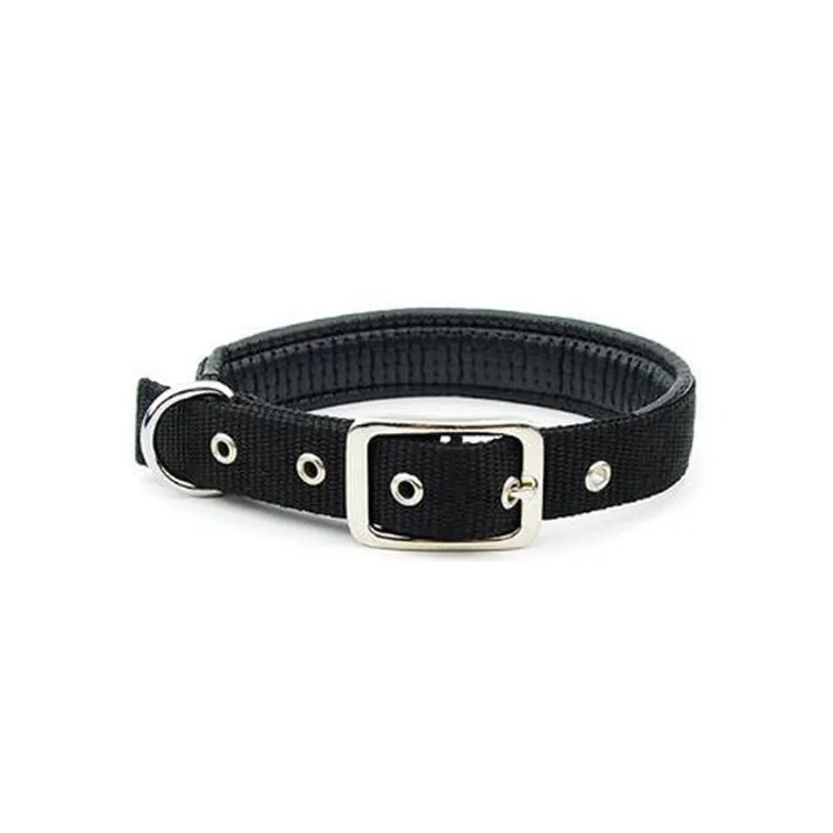 Reflective nylon webbing dog collar with belt buckle on a dog, black colour, size large