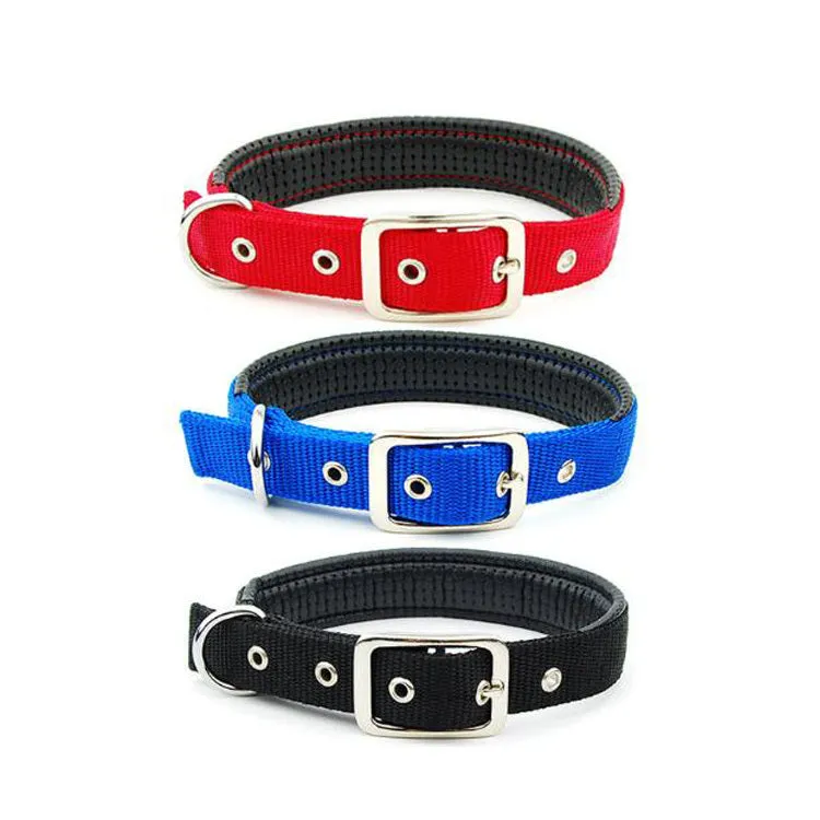 Reflective nylon webbing dog collar with belt buckle on a dog, black colour, size large