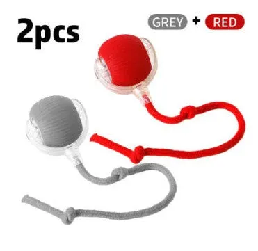Interactive electronic cat toy ball with coloured indicator lights for different play modes