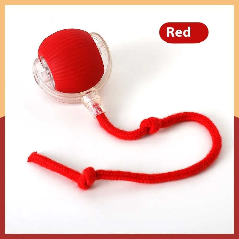 Interactive electronic cat toy ball with coloured indicator lights for different play modes