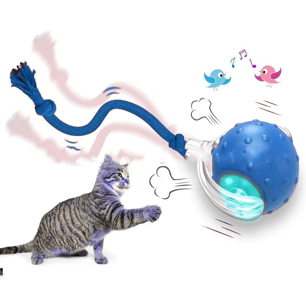 Interactive electronic cat toy ball with coloured indicator lights for different play modes