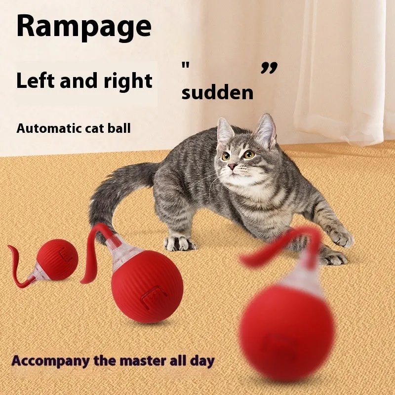 Interactive electronic cat toy ball with coloured indicator lights for different play modes
