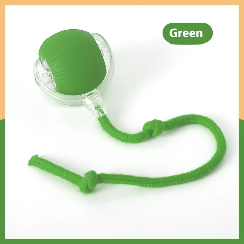Interactive electronic cat toy ball with coloured indicator lights for different play modes