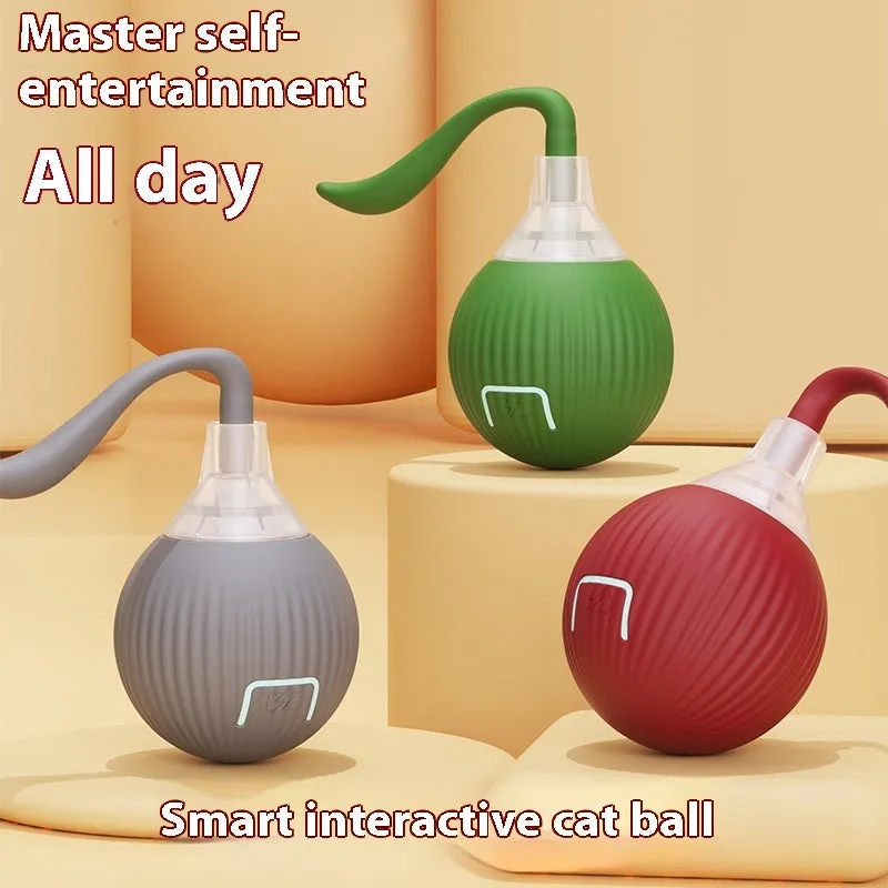 Interactive electronic cat toy ball with coloured indicator lights for different play modes