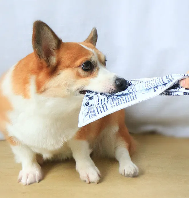 Pet Dog Sound Paper Newspaper Toy in paper newspaper style, 25x18cm, with cloth exterior and sound paper interior, lying on a light background.