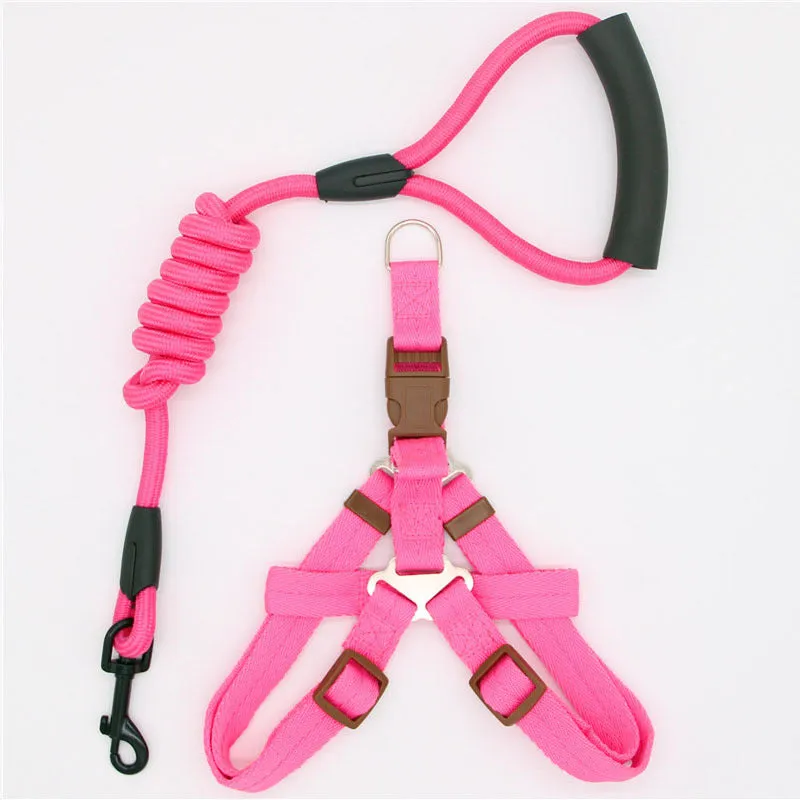 Nylon dog leash in black with clip, suitable for dogs up to 60 kg, multiple colour options.