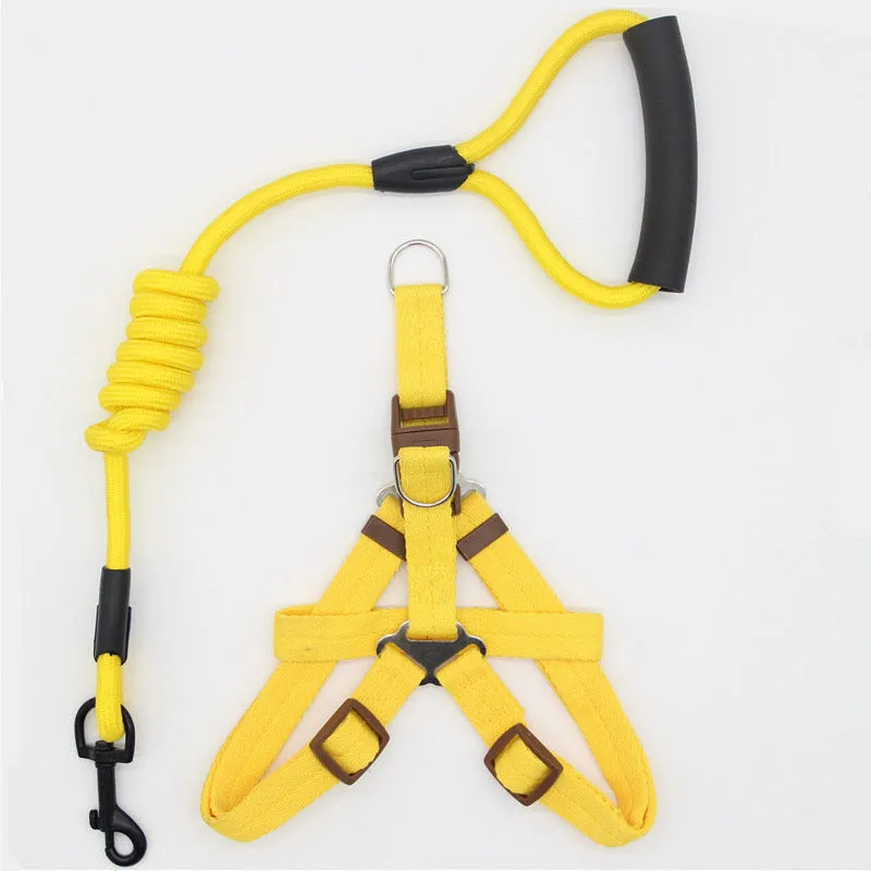 Nylon dog leash in black with clip, suitable for dogs up to 60 kg, multiple colour options.