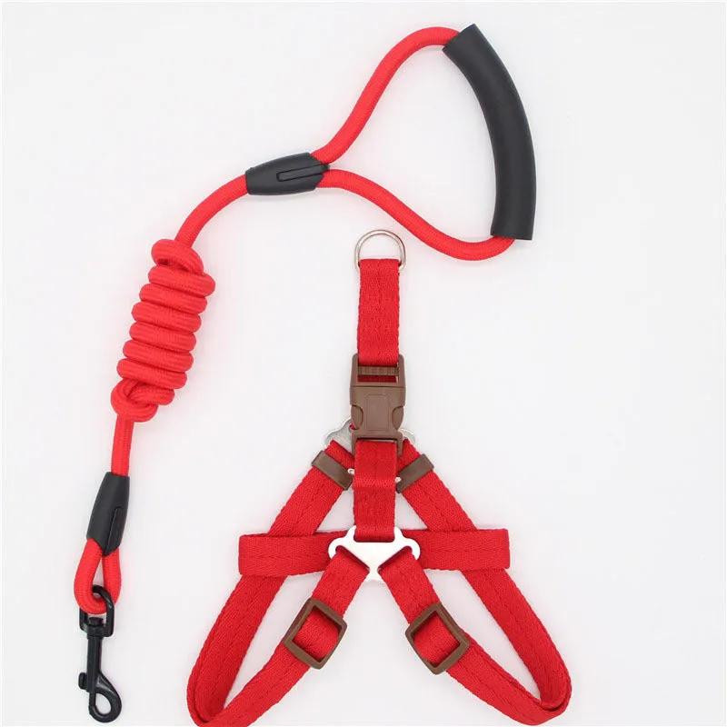 Nylon dog leash in black with clip, suitable for dogs up to 60 kg, multiple colour options.