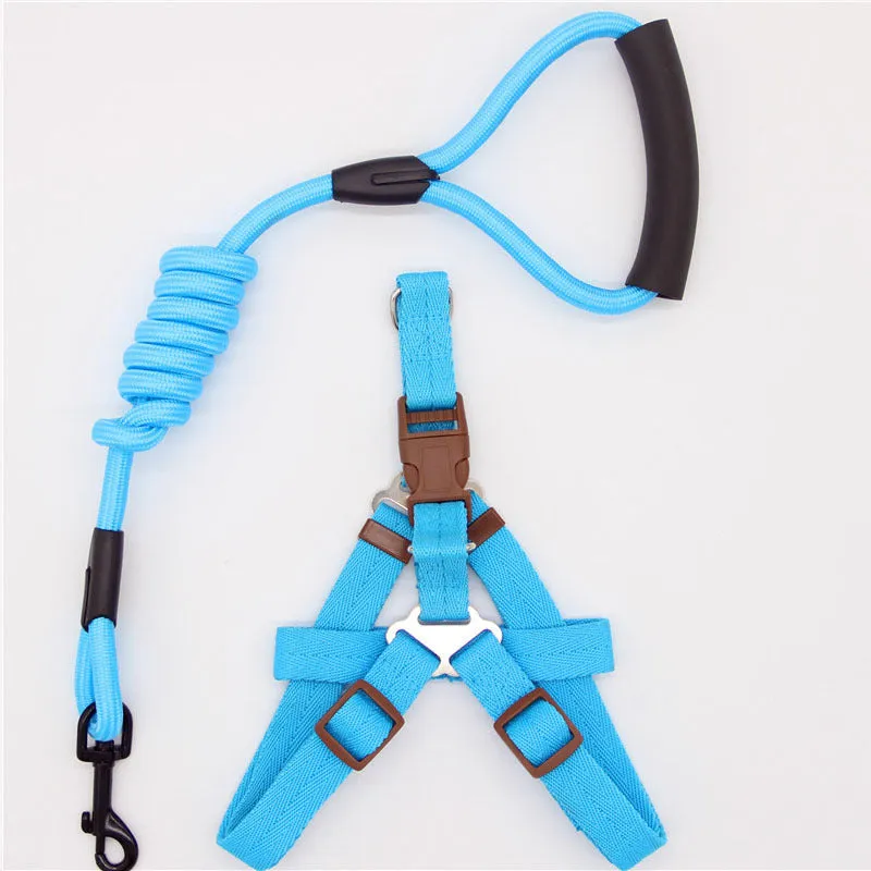 Nylon dog leash in black with clip, suitable for dogs up to 60 kg, multiple colour options.