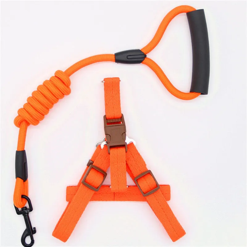 Nylon dog leash in black with clip, suitable for dogs up to 60 kg, multiple colour options.