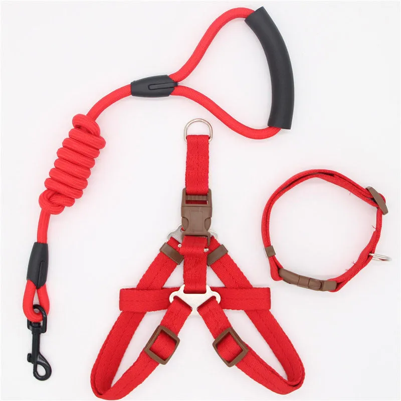 Nylon dog leash in black with clip, suitable for dogs up to 60 kg, multiple colour options.