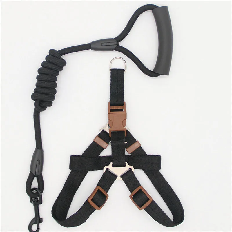Nylon dog leash in black with clip, suitable for dogs up to 60 kg, multiple colour options.