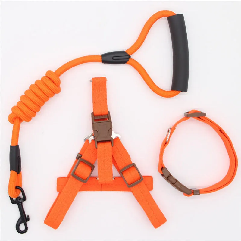 Nylon dog leash in black with clip, suitable for dogs up to 60 kg, multiple colour options.