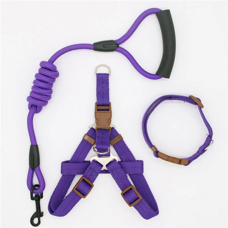 Nylon dog leash in black with clip, suitable for dogs up to 60 kg, multiple colour options.