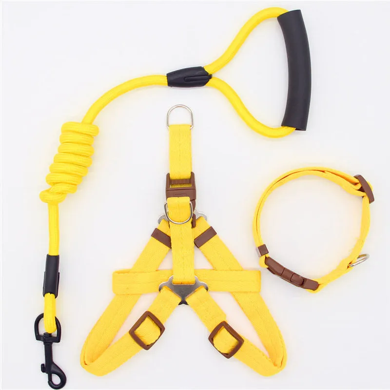 Nylon dog leash in black with clip, suitable for dogs up to 60 kg, multiple colour options.