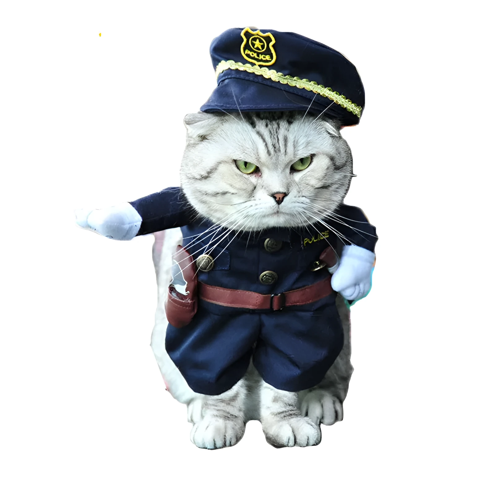 Funny pet clothes costume set with polyester fibre material, adjustable hat with skull design, and Velcro collar for dogs and cats