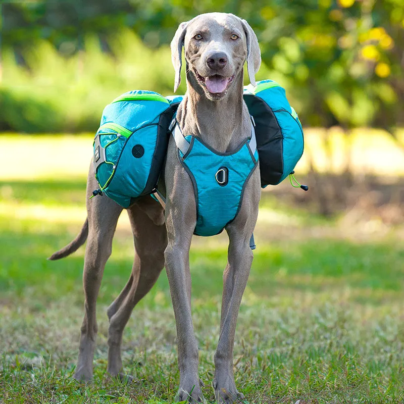 Pet self backpack in blue for medium and large dogs with adjustable straps