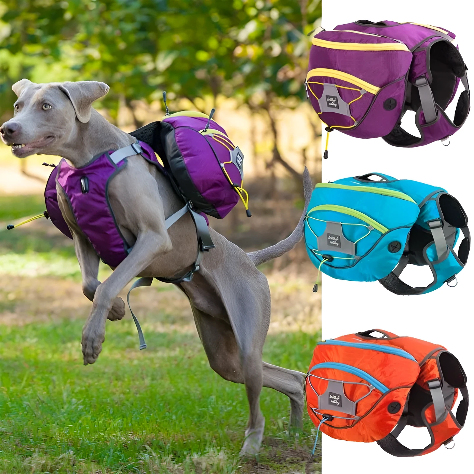 Pet self backpack in blue for medium and large dogs with adjustable straps