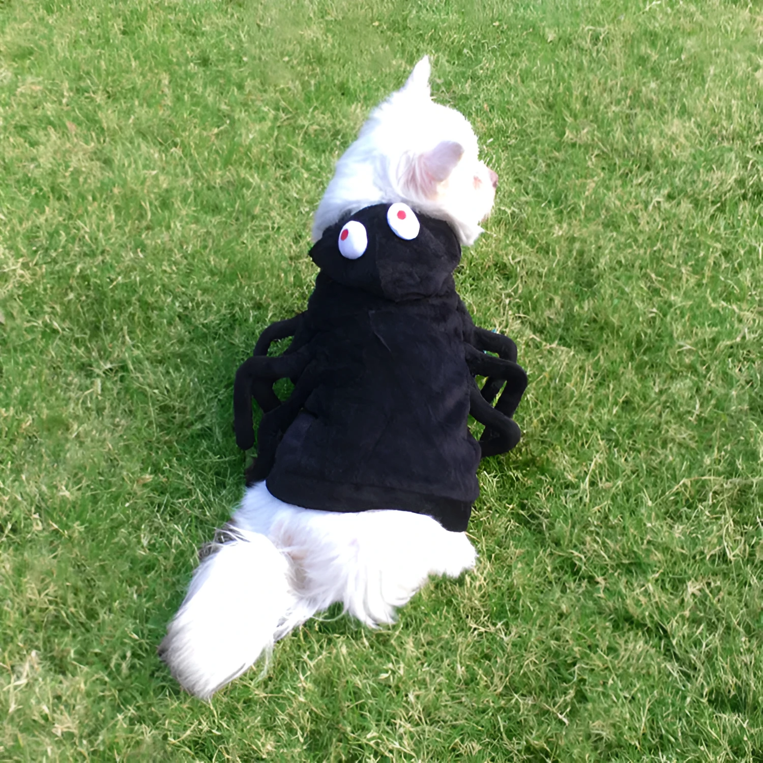Spider pattern Halloween dog costume in polyester fabric available in sizes S, M, and L