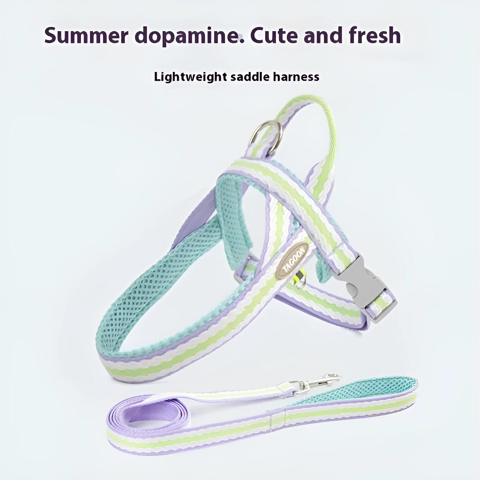 Y-shaped polyester dog harness with 1.4 metre walking rope in multiple colour options