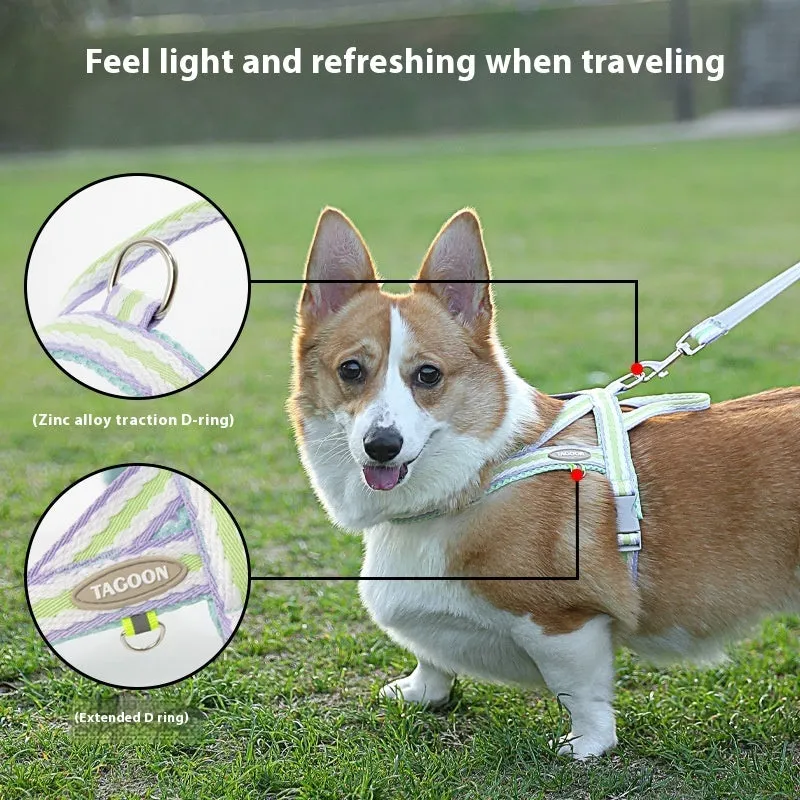 Y-shaped polyester dog harness with 1.4 metre walking rope in multiple colour options