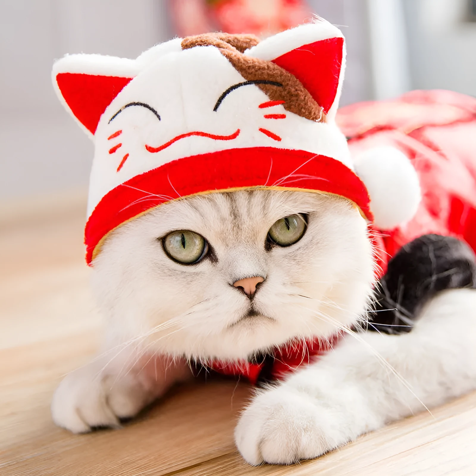 Tang suit cat costume in red shaker velvet with Velcro fastening and matching hat on a cat