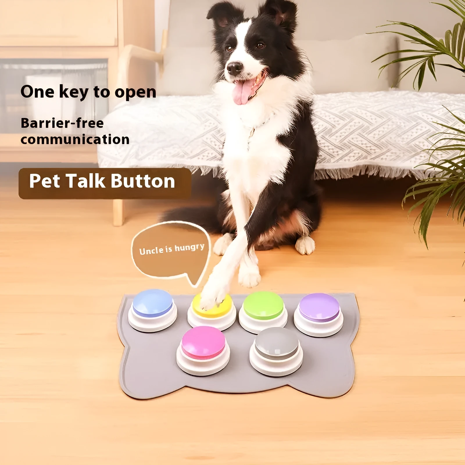 Plastic pet communication button dog voice toy in recording macaron purple on a flat surface
