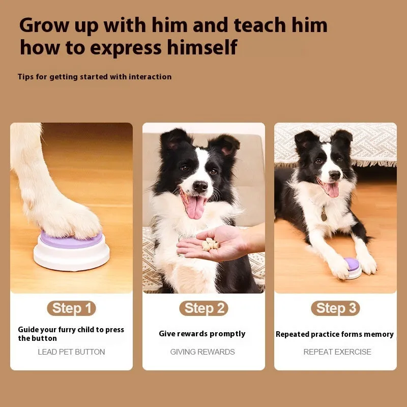Plastic pet communication button dog voice toy in recording macaron purple on a flat surface