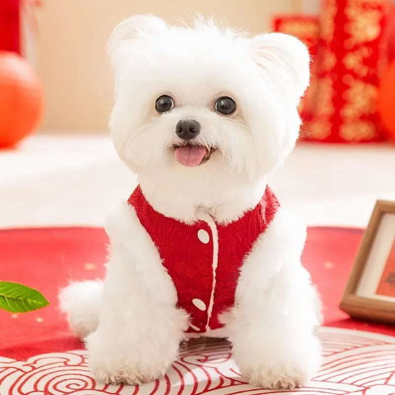 Red Chinese-style thermal cotton dog outfit for small breeds with festive New Year design