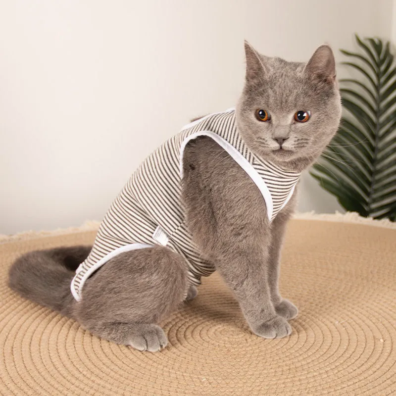 Blue pet sterilization suit with adjustable scarf on a cat, cotton anti-licking clothing for post-surgery recovery.
